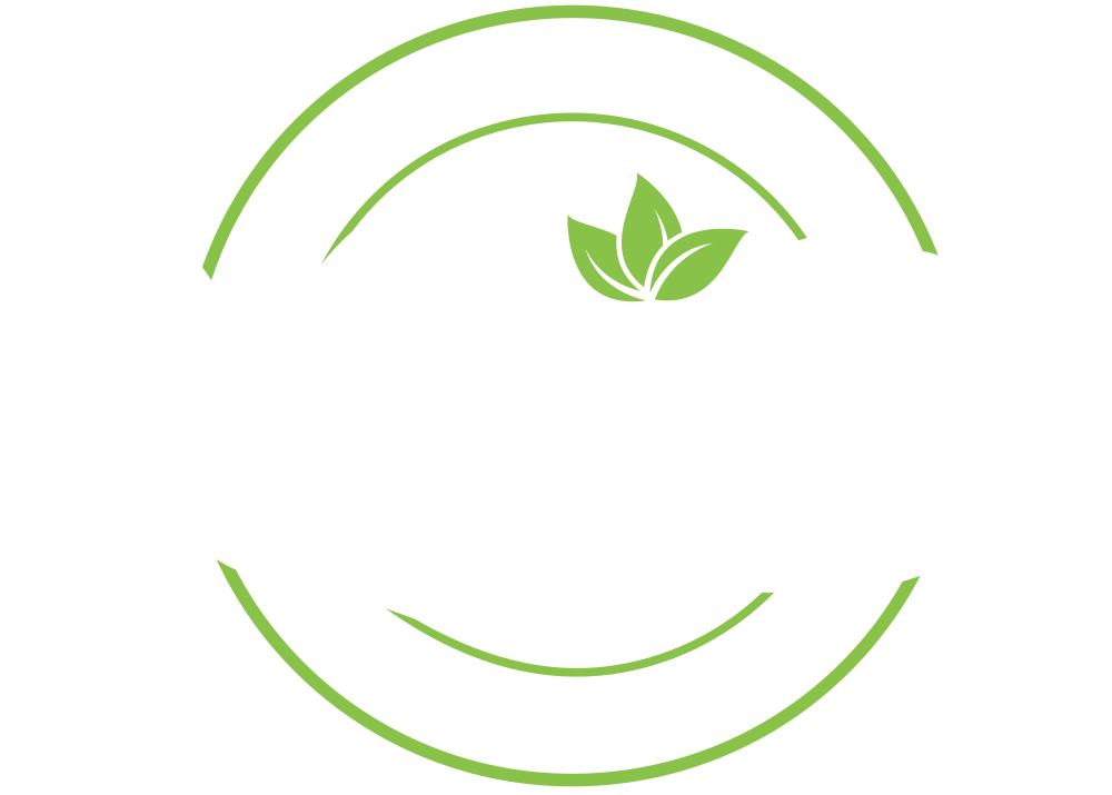Vegapolis
